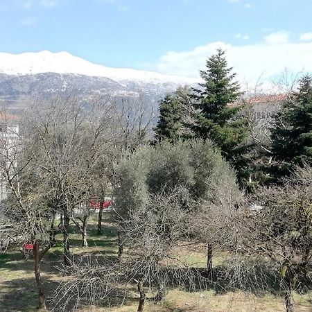 Gks Park View Appartement Ioannina Buitenkant foto