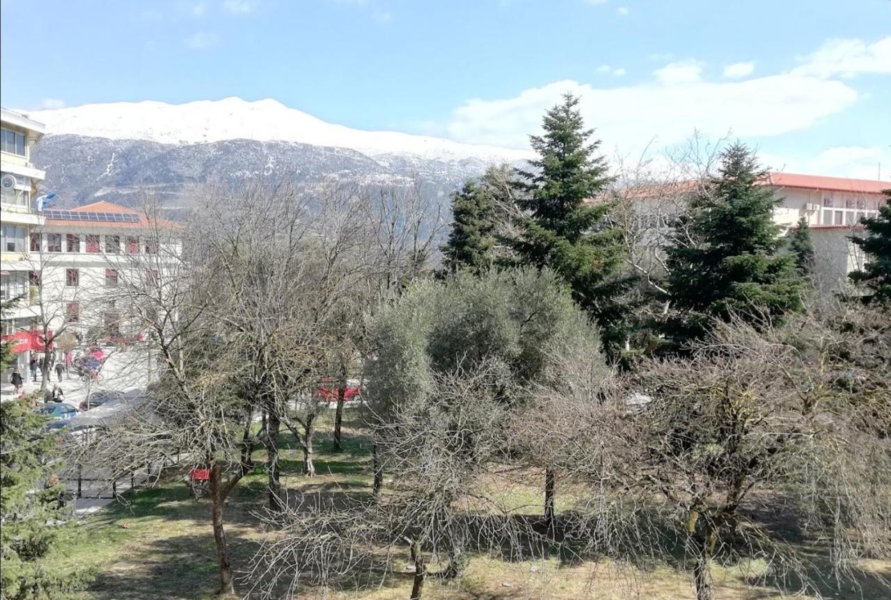 Gks Park View Appartement Ioannina Buitenkant foto